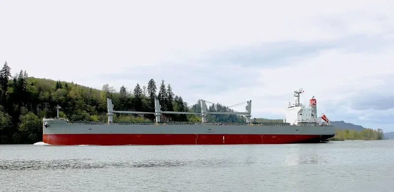 IPSEA COLOSSUS Bulk Carrier IMO 9482108 photo 9