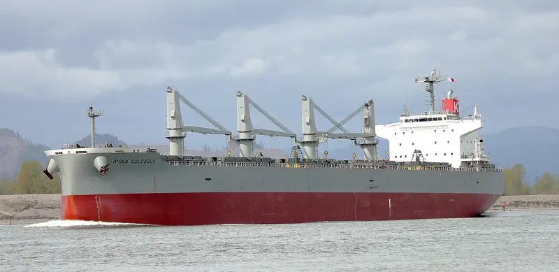 IPSEA COLOSSUS Bulk Carrier IMO 9482108 photo 10