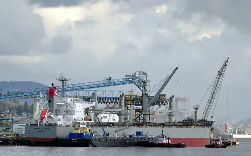 GANGA K Bulk Carrier IMO 9482110 photo 2
