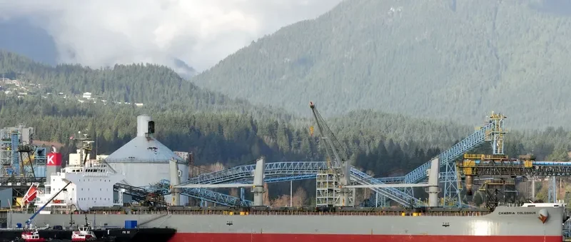 GANGA K Bulk Carrier IMO 9482110 photo 3