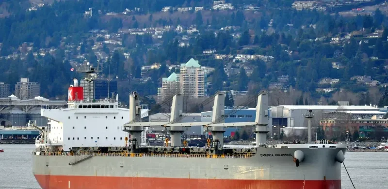 GANGA K Bulk Carrier IMO 9482110 photo 4