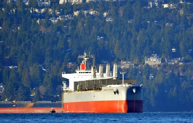 GANGA K Bulk Carrier IMO 9482110 photo 6