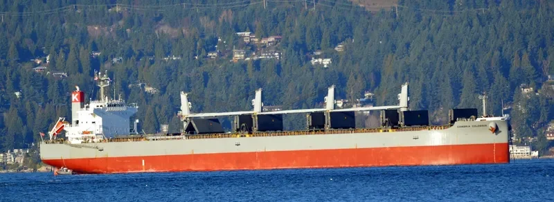 GANGA K Bulk Carrier IMO 9482110 photo 7