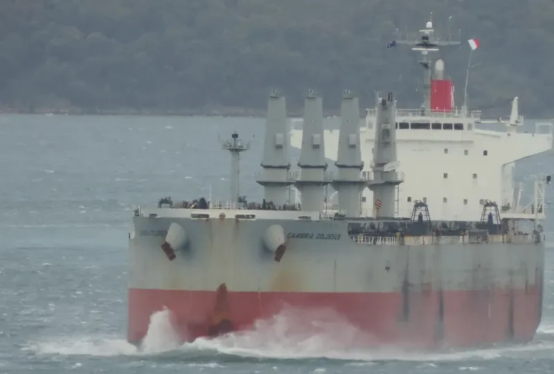 GANGA K Bulk Carrier IMO 9482110 photo 8