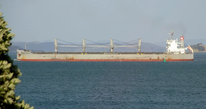 GANGA K Bulk Carrier IMO 9482110 photo 9