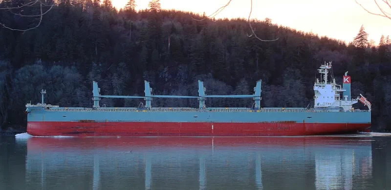 SUNNY ROYAL Bulk Carrier IMO 9482122 photo 2