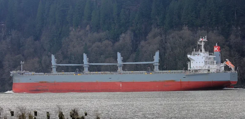 SUNNY ROYAL Bulk Carrier IMO 9482122 photo 5