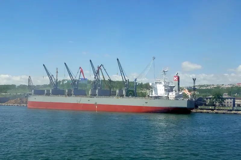 SUNNY ROYAL Bulk Carrier IMO 9482122 photo 9