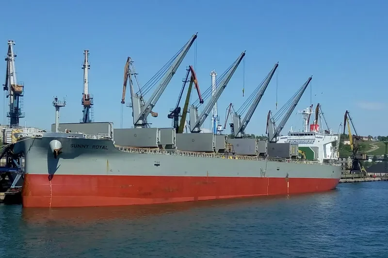 SUNNY ROYAL Bulk Carrier IMO 9482122 photo 10