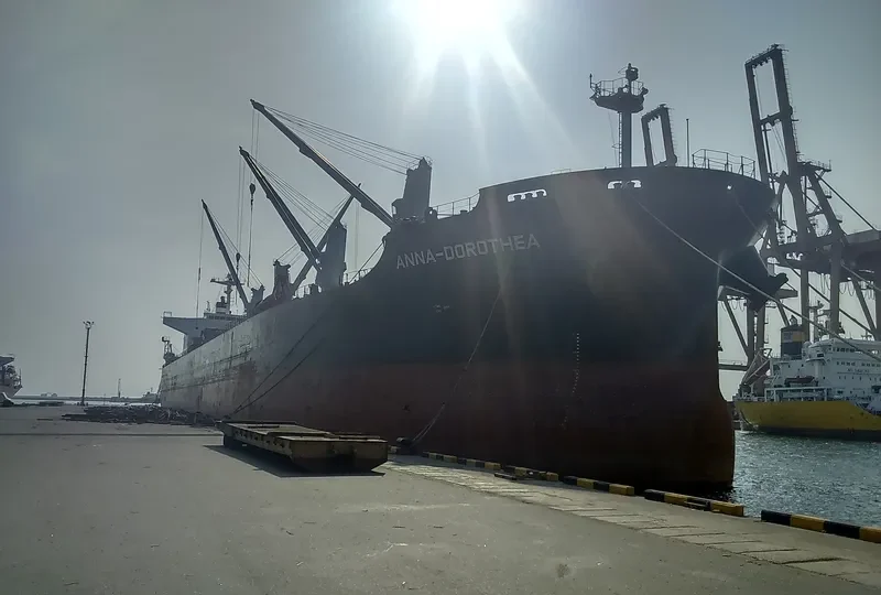 ANNA DOROTHEA Bulk Carrier IMO 9482213