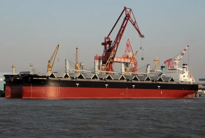 ANNA DOROTHEA Bulk Carrier IMO 9482213 photo 3