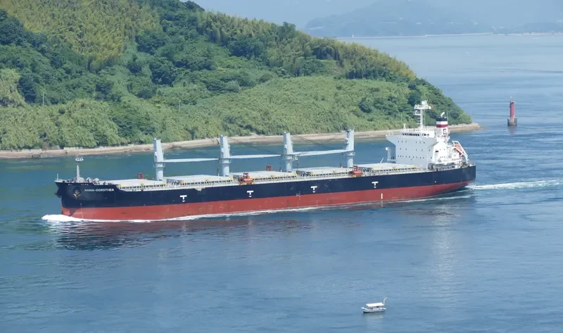 ANNA DOROTHEA Bulk Carrier IMO 9482213 photo 4