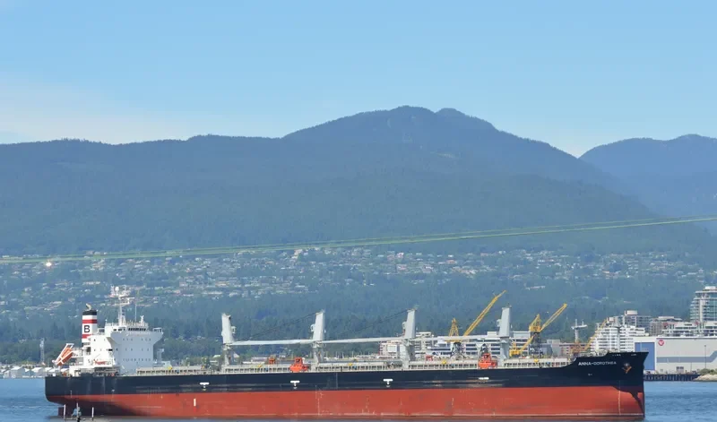 ANNA DOROTHEA Bulk Carrier IMO 9482213 photo 18