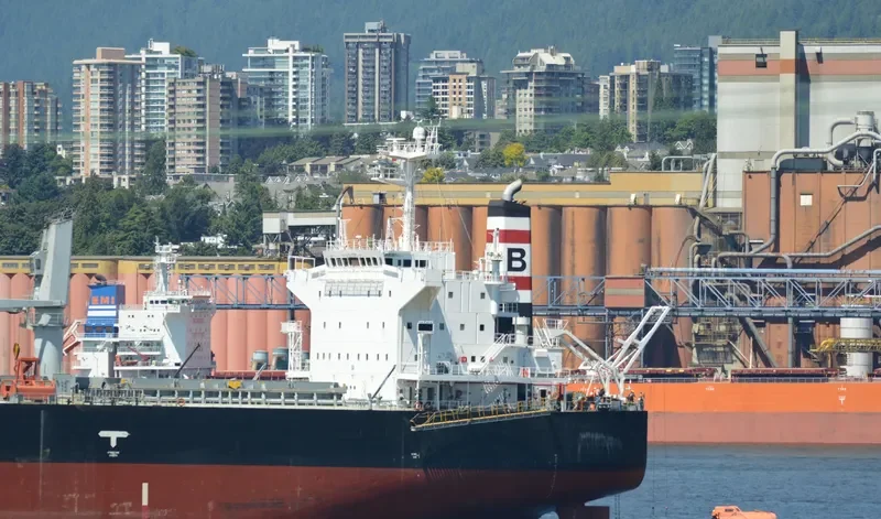 ANNA DOROTHEA Bulk Carrier IMO 9482213 photo 20