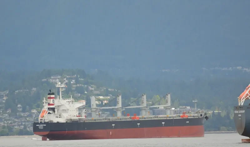 ANNA DOROTHEA Bulk Carrier IMO 9482213 photo 25