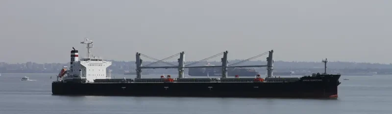 ANNA DOROTHEA Bulk Carrier IMO 9482213 photo 32