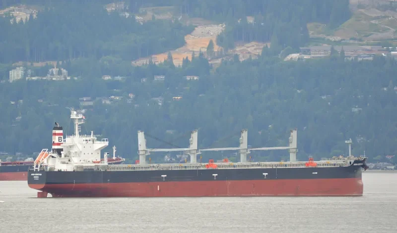 ANNA DOROTHEA Bulk Carrier IMO 9482213 photo 33