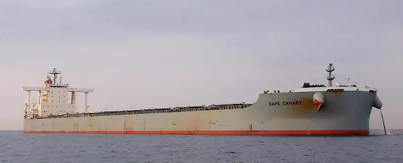 CAPE CANARY Bulk Carrier IMO 9482237 photo 4