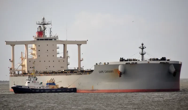 CAPE CANARY Bulk Carrier IMO 9482237 photo 6