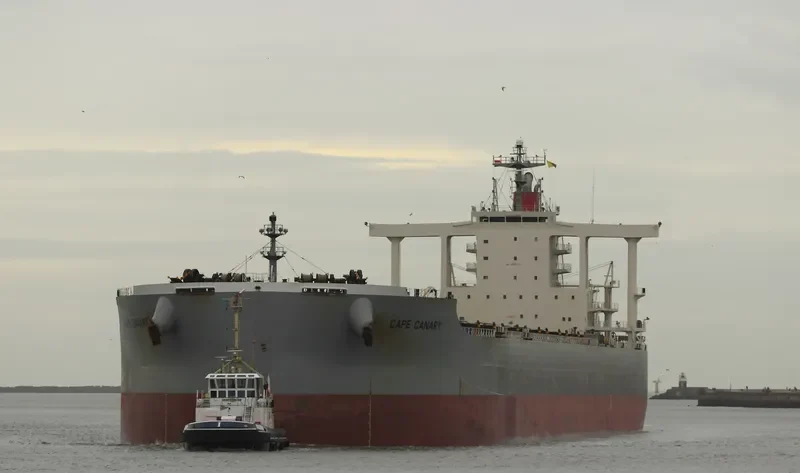 CAPE CANARY Bulk Carrier IMO 9482237 photo 8