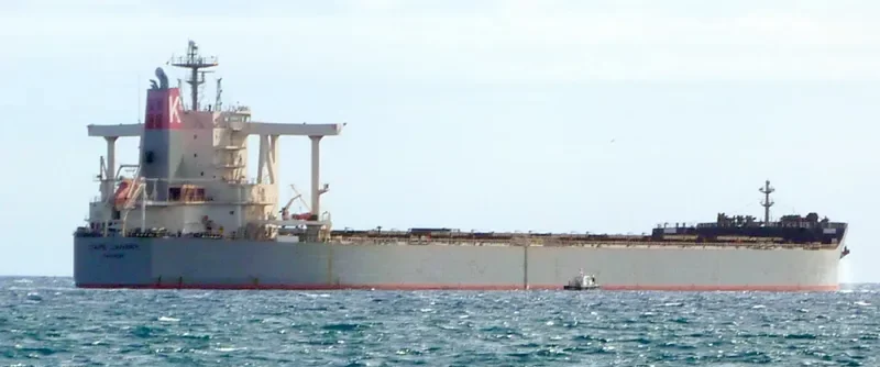 CAPE CANARY Bulk Carrier IMO 9482237 photo 9