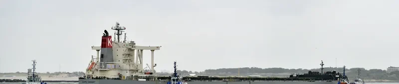 CAPE CANARY Bulk Carrier IMO 9482237 photo 10