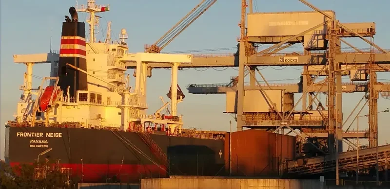 FRONTIER NEIGE Bulk Carrier IMO 9482251 photo 2