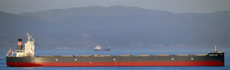 FRONTIER NEIGE Bulk Carrier IMO 9482251 photo 3