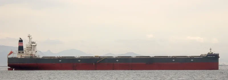 FRONTIER NEIGE Bulk Carrier IMO 9482251 photo 5