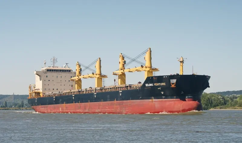 BEIJING VENTURE Bulk Carrier IMO 9482471 photo 10