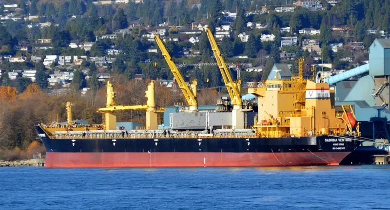 FLC FORTUNE Bulk Carrier IMO 9482500 photo 5