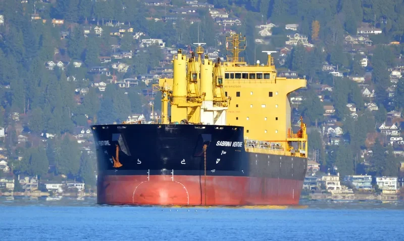 FLC FORTUNE Bulk Carrier IMO 9482500 photo 6