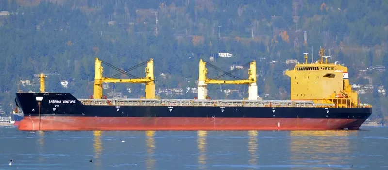 FLC FORTUNE Bulk Carrier IMO 9482500 photo 7