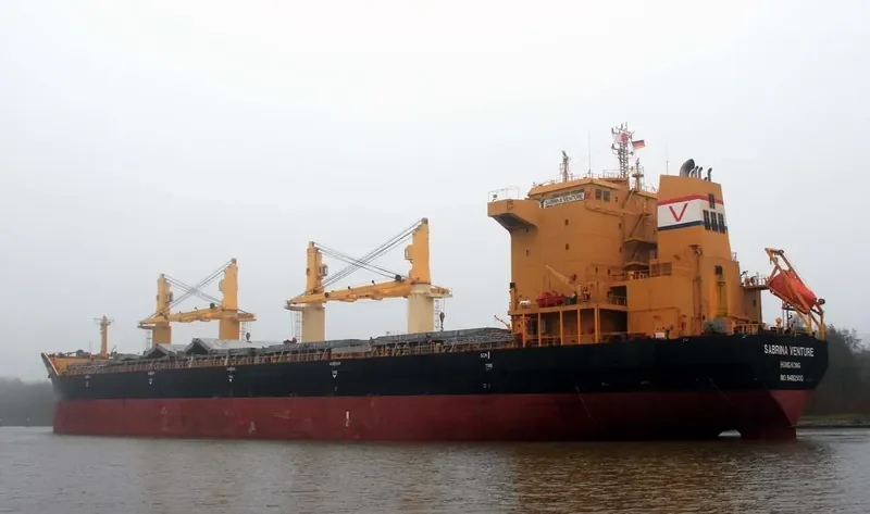 FLC FORTUNE Bulk Carrier IMO 9482500 photo 9