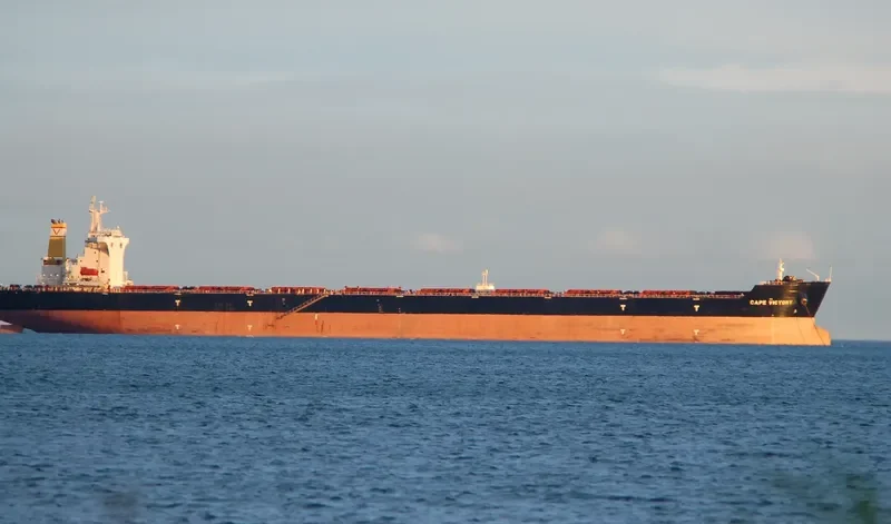 CAPE VICTORY Bulk Carrier IMO 9482524