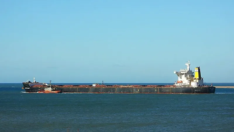 CAPE VICTORY Bulk Carrier IMO 9482524 photo 2