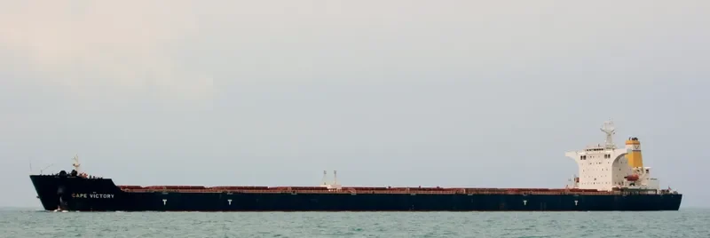 CAPE VICTORY Bulk Carrier IMO 9482524 photo 6