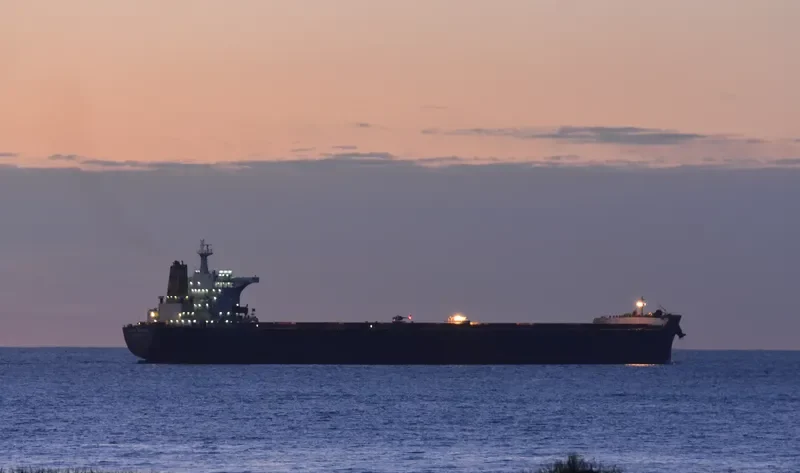CAPE VICTORY Bulk Carrier IMO 9482524 photo 8