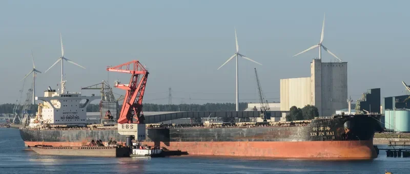 XIN JIN HAI Bulk Carrier IMO 9482677