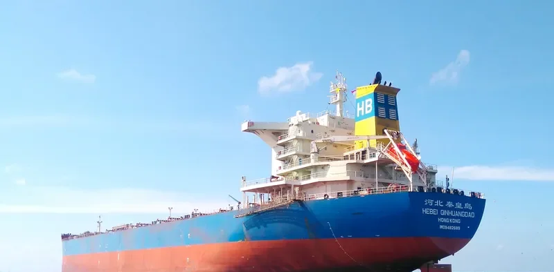 HEBEI QINHUANGDAO Bulk Carrier IMO 9482689 photo 2
