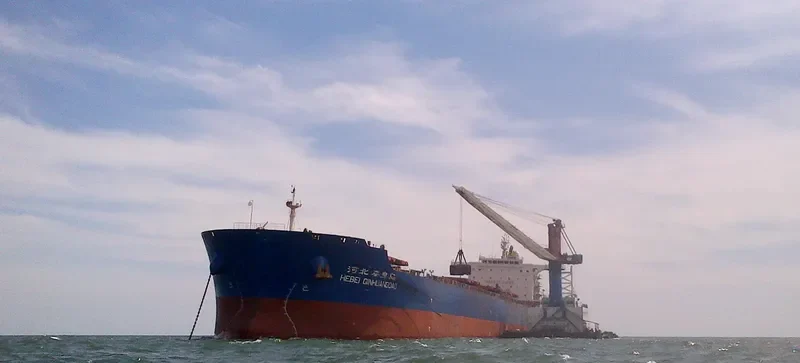 HEBEI QINHUANGDAO Bulk Carrier IMO 9482689 photo 4