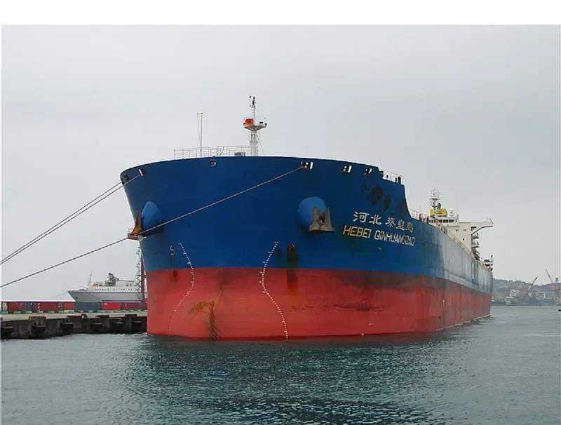 HEBEI QINHUANGDAO Bulk Carrier IMO 9482689 photo 5