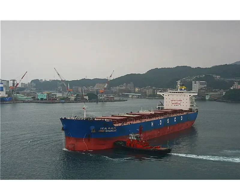 HEBEI QINHUANGDAO Bulk Carrier IMO 9482689 photo 7