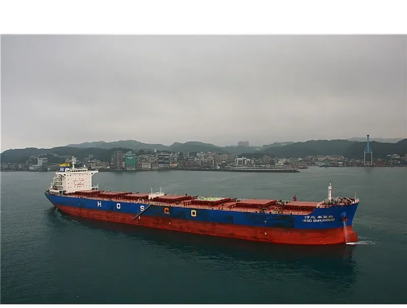 HEBEI QINHUANGDAO Bulk Carrier IMO 9482689 photo 8