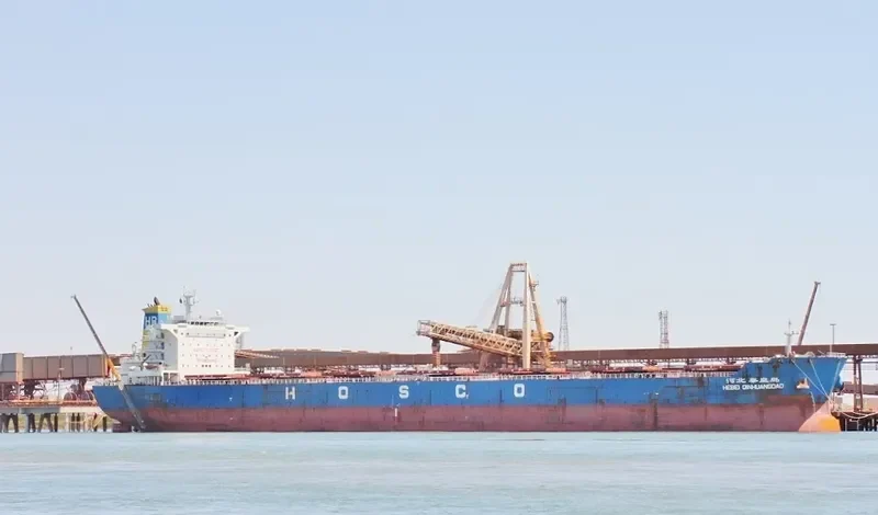HEBEI QINHUANGDAO Bulk Carrier IMO 9482689 photo 10