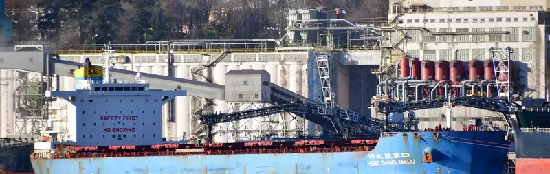 HEBEI ZHANGJIAKOU Bulk Carrier IMO 9482691 photo 5