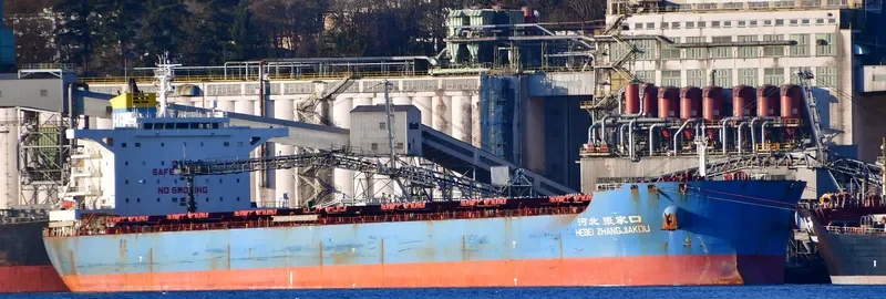 HEBEI ZHANGJIAKOU Bulk Carrier IMO 9482691 photo 7