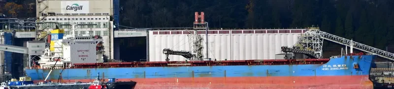 HEBEI ZHANGJIAKOU Bulk Carrier IMO 9482691 photo 8