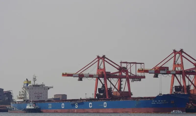 HEBEI SHIJIAZHUANG Bulk Carrier IMO 9482706
