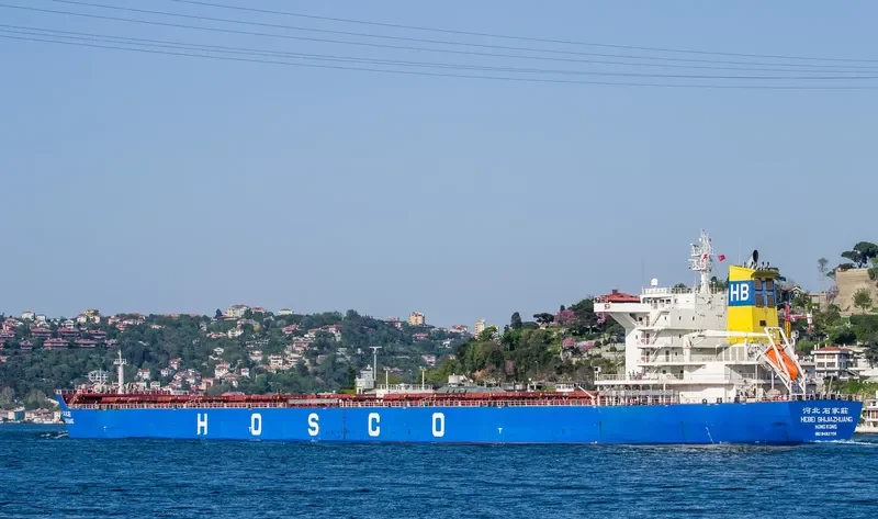 HEBEI SHIJIAZHUANG Bulk Carrier IMO 9482706 photo 5